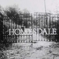Homesdale-poster