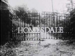 Homesdale-poster