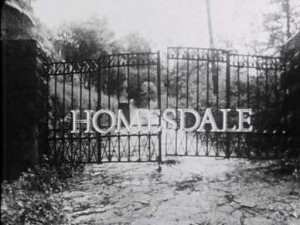 Homesdale-poster