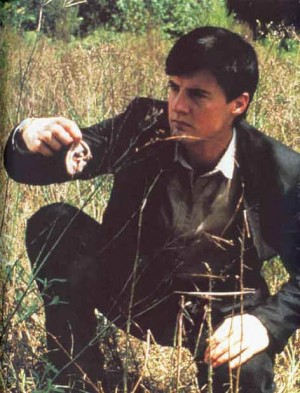 blue velvet lynch