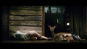 antihrist tumacenje filma